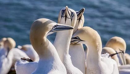 开云下载-乐鱼体育官方平台——开启您的极致体育体验