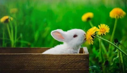 开云官网-乐鱼官网：一站式娱乐平台的全新体验